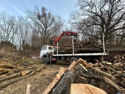 Bild 5:Steyr 991 Allrad