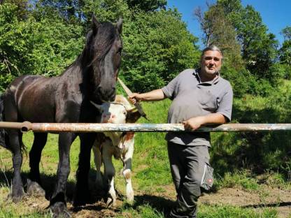 Bild 3:Einstellplätze