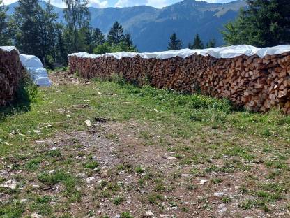 Bild 2:Brennholz