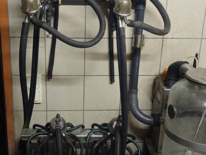 Bild 6:Melkmaschine Vakuum Thermomat Kompakt 2000