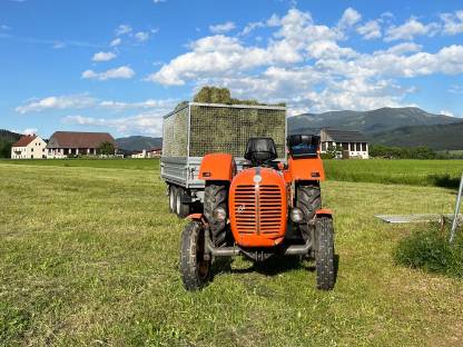 Bild 2:Kleinballen, HD-Ballen, Heuballen