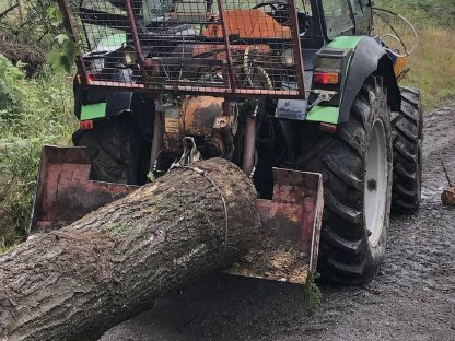 Bild 2:Deutz DX 4.30 Forst