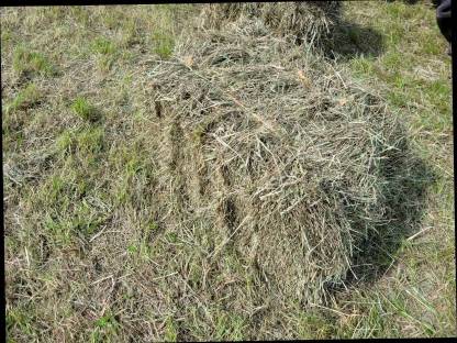 Bild 2:Heu
