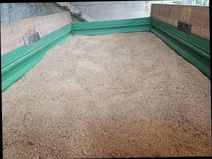 Bio Triticale Ernte 2025