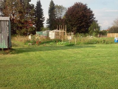 Bild 6:Acker/Wiese für Gartenflächen (Klagenfurt u. Umgebung)