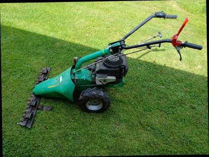 Bild 2:Okay Motormäher BM 8700