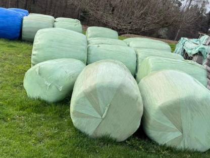 Bild 2:Siloballen günstig zu verkaufen
