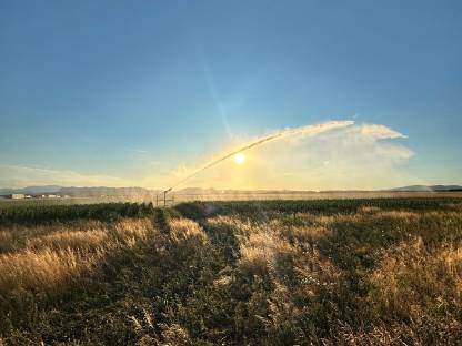 Bild 3:Ackerflächen gesucht - verlässlich & langfristig gepachtet