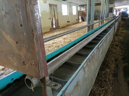 Bild 2:Futterförderband für Schafe, Ziegen, Kleinwiederkäuer