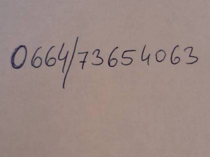 Bild 7:Obstbaumstämme