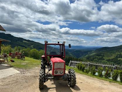 Bild 3:Lindner BF 350 SA