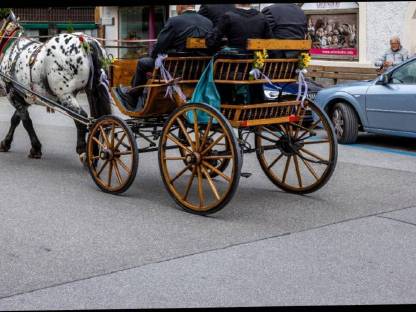 Bild 2:Linzer Wagerl, Spider-Kutsche, Dressurwagen - Noriker Haflin