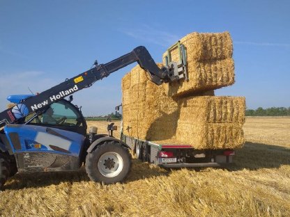 Bild 2:Stroh Heu Grumet Silageballen Maissilageballen