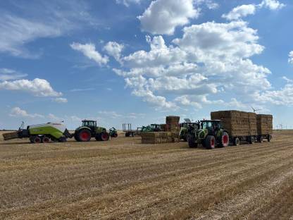 Bild 3:BIO Stroh, Strohballen, Bio