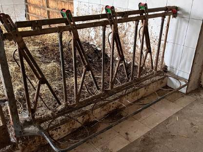 Bild 2:Jordain Kälber Fressgitter