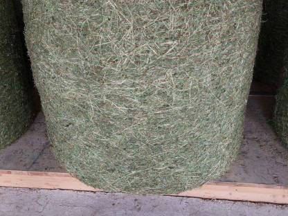 Bild 3:Kleinheuballen mit Warmluft belüftet