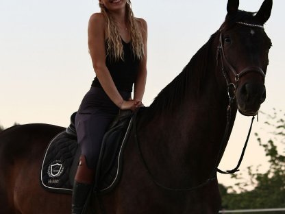 Bild 2:Wunderschönes Warmblut zu verkaufen