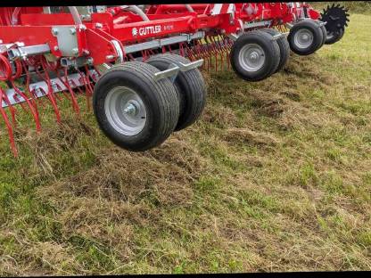 Bild 3:Güttler Striegel solo Verleih