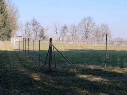 Bild 4:Landwirtschaftlicher Nutzgrund