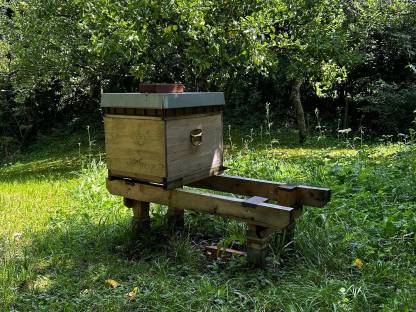 Bild 3:Bienenvölker - Dadant US