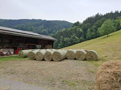 Bild 2:Heurundballen 2025, 30 Stk.