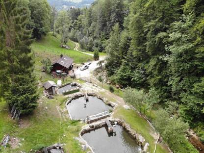 Landwirtschaftliches Grundstück mit Hobbyfischzucht