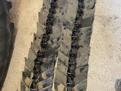 Bild 4:Flügelschare