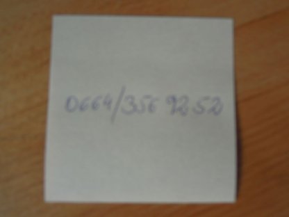 Bild 3:Kuhkalb Angus