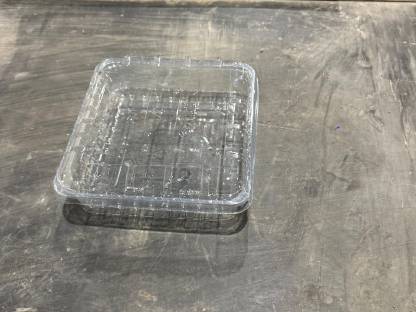 Bild 3:Quadratische Plastikschalen