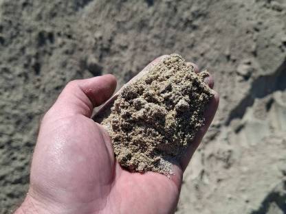 Bild 3:Sand zu verschenken