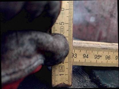 Bild 2:Trelleborg 540/65 R26