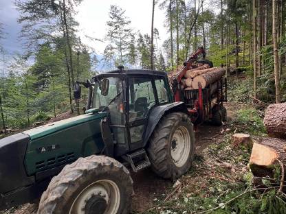 Bild 3:Forstanhänger, Rückeanhänger, Hölzhänger, Krananhänger