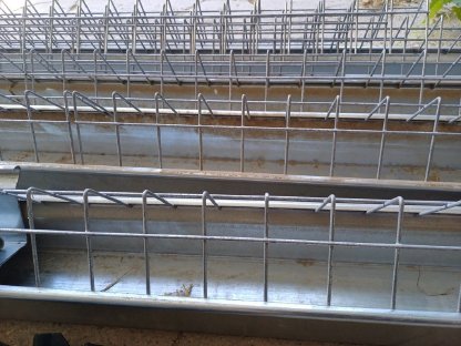 Bild 3:Futterbahn Geflügel, Hennen