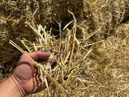 Bild 2:BIO Stroh, Strohballen, Bio