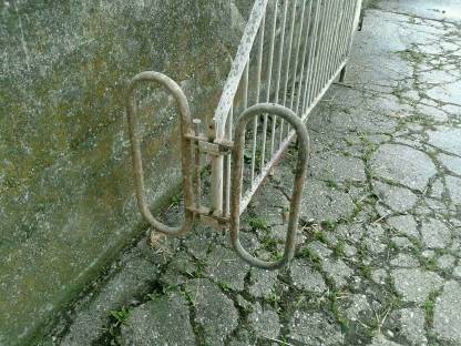 Aufstallung von Zuchtsauen