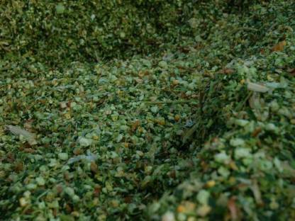 Bild 2:Maisballen oder Mais lose zugestellt