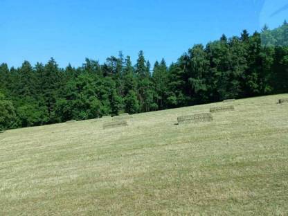 Bild 4:Greenland Quaderballenpresse