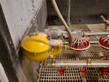 Bild 5:Legehennen-Stalleinrichtung