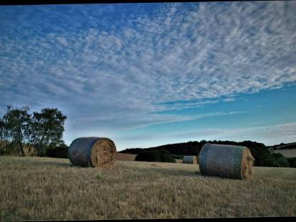 Bild 2:Heu für Pferde - Magerheu