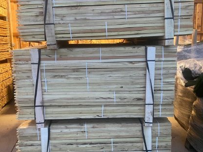 Bild 8:Akazienstecken