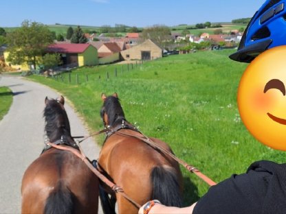 Bild 4:Freizeitgespann