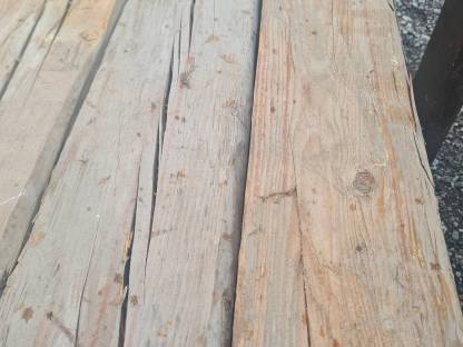 Bild 2:Gehackte Trame, Altholz