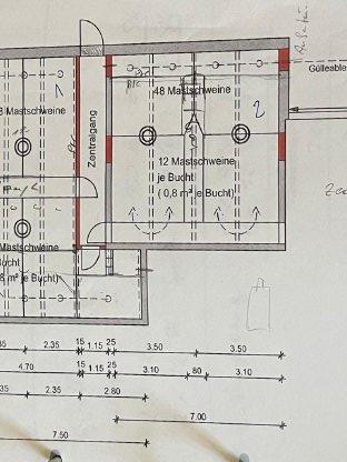 Bild 9:Aufstallung Schweine