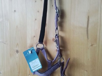Pony Halfter