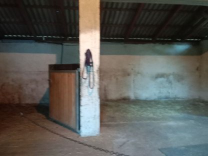 Bild 2:Einstellplatz Pferd