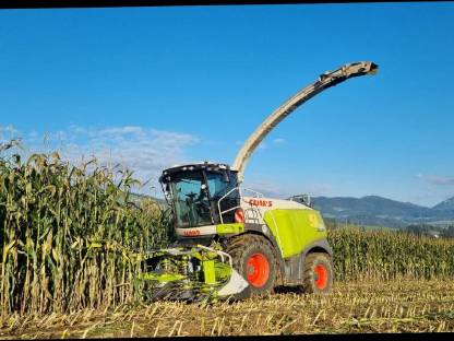 Bild 4:Maisballen Ernte 2025