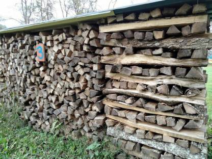 Bild 2:Brennholz Esche
