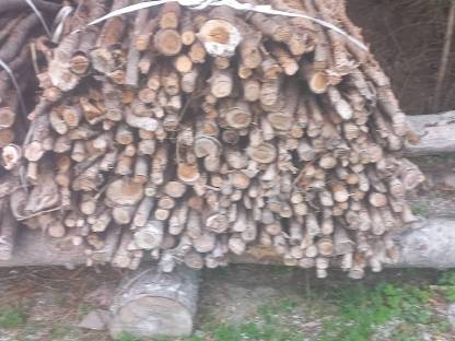 Bild 6:Brennholz in Holzkisten, Holzrundballen Stiebelholz