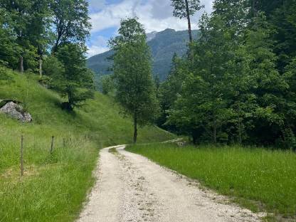 Bild 5:Landwirtschaftliches Grundstück mit Hobbyfischzucht