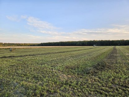 Bild 2:Heu Rundballen Rotklee- und Wiesenheu